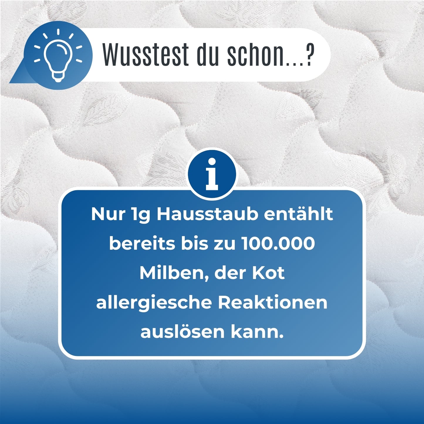 POTEMA® Matratzen Clean Spray Set Basispaket